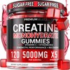 Sugar Free Creatine Monohydrate Gummies 5g Per Serving - 120