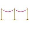 WorkBless Velvet Queue Barrier Rope 4Ft Light Pink with Golden