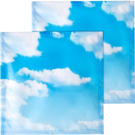 Baquler 2 Pcs Fluorescent Light Covers 2 x 2 ft Light Filter Magnetic Light Covers for Ceiling Lights Classroom Ceiling Light Cover Classroom Light Filters for Ceiling Classroom (Cloud)