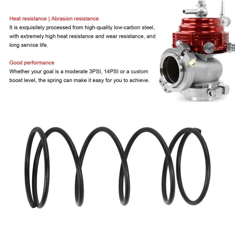 7PSI/14 PSI Coil Spring Flue Gas Valve Carbon Steel Replacement