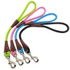 BTINESFUL Short Dog Leash- 18, 24 Inch Strong Nylon Training