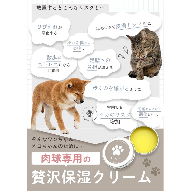 Paw Cream 12g with World's Top 3 Oils, Beeswax, Safe