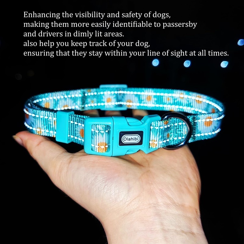 Olahibi Reflective Dog Collar Leash Set, 5ft or 150CM Matching