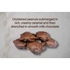 Goodland Farms Milk Chocolate Caramel Nut Clusters, 2 Pounds -