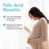 SISU Folic Acid 1mg
