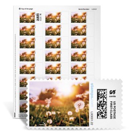 NetStamps Blank Mailing Labels - Dandelion Wishes | 120 Long-Lasting Labels on 5 Sheets | Perfect for Small Business, Home Office, & Personal Use | Works with Inkjet & Laser Printers