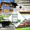 Powermint Peppermint Oil Insect & Pest Spray for Spiders, Ants,