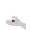 Master Lock 1535DWD Candado de Combinación con Letras para Recordar