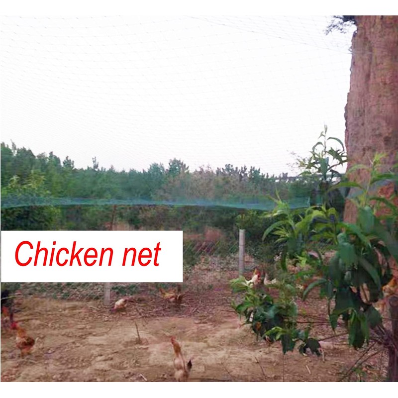 LXGKREL Bird Protection Net Chicken Net Garden Net Poultry Net