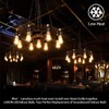 LUXON LED Edison Bulb,Dimmable,4Watt,Equivalent 40W,2700K Warm White,Amber Glass Antique Vintage