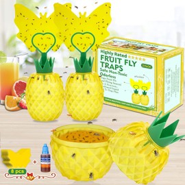 Fruit Fly Trap for Indoors, Effective Fruit Fly Catcher Gnat Killer with Sticker, Gnat Traps for House Indoor with Bait, Non-Toxic Reusable Easy to Use Fly Trap for Kitchen Home - 2 Pack, Clear Yellow