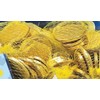 Rite Lite Chanukah Gelt Milk Chocolate Coins Large Bag -
