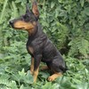 Vivid Arts Dobermann-Pinscher – Gartendekoration für drinnen und draußen