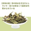 50g Fukuchi White Peony White Tea, Rich in Antioxidants, No