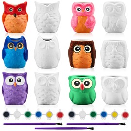 Tanlade 12 Set Paint Your Own Ceramic Planters Mini Owl Succulent Plant Pots 2.5 Inch Bisque Ceramics Unpainted with Drainage Hole Ready to Paint for Kids Classroom Craft Project Activity