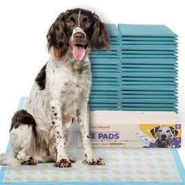 PetsWorld 36x36 Inch Health Monitoring Dog Pee Pads – 50 Count |Color-Changing for Early Health Detection | Ultra Absorbent, Leak-Proof, Odor Control Potty Pads