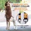 Canny Leash | Heavy Duty Dog Leash | Perfect for