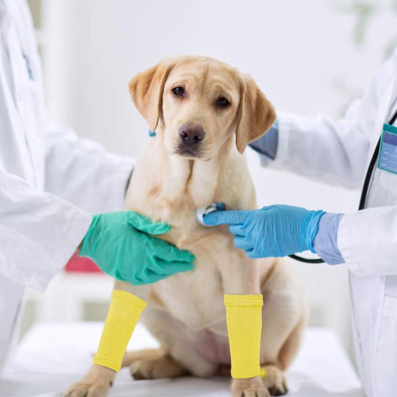 ROZKITCH Elbow Protectors, 2PCS Front Leg & 2PCS Back Leg