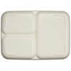 Harapeko Aomushi 807534 Milky Children's Painted Lunch Plate (Partition Plate)