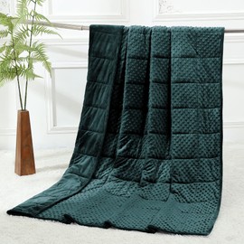 Alomidds Weighted Blanket (60"x80",20lbs Queen Size - Green), Weighted Blankets for Adults, Cooling Breathable Soft and Comfort Minky, Heavy Blanket Microfiber Material with Glass Beads