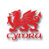 Cymru Draig Ddraig Goch Welsh Dragon Decal Caravan Motorhome Boat