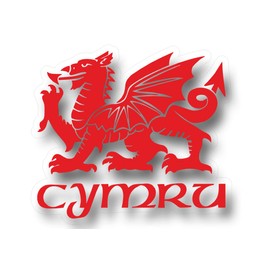 Cymru Draig Ddraig Goch Welsh Dragon Decal Caravan Motorhome Boat Car Sticker