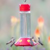 Perky-Pet 209B-1SR Glass Hummingbird Feeders for Outdoors Hanging - 30