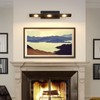 BELS Picture Lights for Wall Hardwired, 24" Black Wall Lights