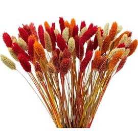 100Pcs Fall Dried Flowers Stems Natural Dried Pampas Grass Bouquets Color Mix Gem Grass Artificial Dried Plants Boho Floral for Autumn Vase Filler Floral Arrangements Home Table Wedding