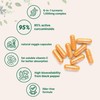 Micro Ingredients Pure Turmeric Curcumin Supplement 1,000mg – 95% Curcuminoids