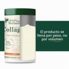 Great Lakes Wellness Hidrolizado Colágeno Proteína Carne Res Sabor Chai