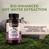 Longevity Botanicals 15 Mushroom Supplement Blend - Mushroom Complex Capsules