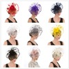 SAFERIN Fascinator Hat Feather Mesh Net Veil Cocktail Tea Party