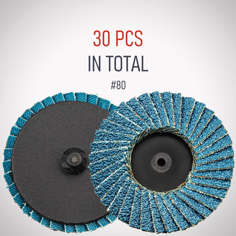RENOTEC 30 Pcs 2 Inch Mini Flap Disc, Zirconia High