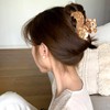 Unique Animal Claw Clip Cute Squirrel Shape Hair Clips Acetate