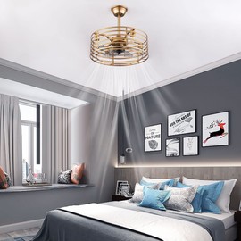 DouSeiAi 20 Inch Caged Ceiling Fans, Modern Ceiling Fan with Lights with Remote Control, Industrial Enclosed Ceiling Fan for Bedroom Living Room Farmhouse Dining Room Kitchen Bathroom (Gold)