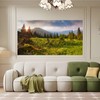 Spring Natural Scenery Background Mountains Trees Green Grass Jungle Photography