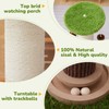 Woochpet 34inches Tall Cat Scratching Post with Cat Ball Track