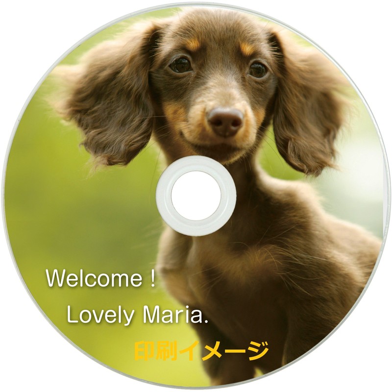 TDK Data CD-R MB 48 X Speed For howaitowaidopurintaburu 50