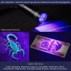 Mercader Digital 2 Pzs Linterna Uv Luz Negra Ultravioleta Lámpara
