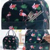 GOGOX Lonchera Bolsa Almuerzo Térmica, Aislamiento Frío Y Calor