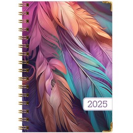 HARDCOVER 2025 Planner, 7"x9": 14 Months (November 2024 - December 2025), Daily Weekly Monthly Planner, Yearly Agenda, Bookmark, Pocket Folder and Sticky Note Set (Pastel Peacock)