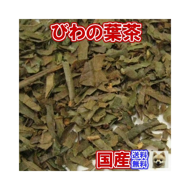 "Domestic" Biwa Tea Fresh Pack with Zipper, 3.5 oz (100