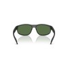 ARNETTE Sunglasses AN 4351 29672P Transp Grey Matte/Shiny/Polar Green Policarb