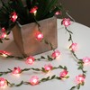 Curyidy Rose Flower String Lights Pink Floral Garland with Fairy