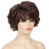 Kaneles Short Brown Curly Wavy Wig with Hair Bangs Synthetic