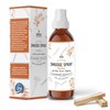 SOUL STICKS Palo Santo Smudge Spray – 3.5oz Smokeless Energy