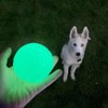 Feixun Dog Glow Ball Toy, Dog Toy Ball Glow in