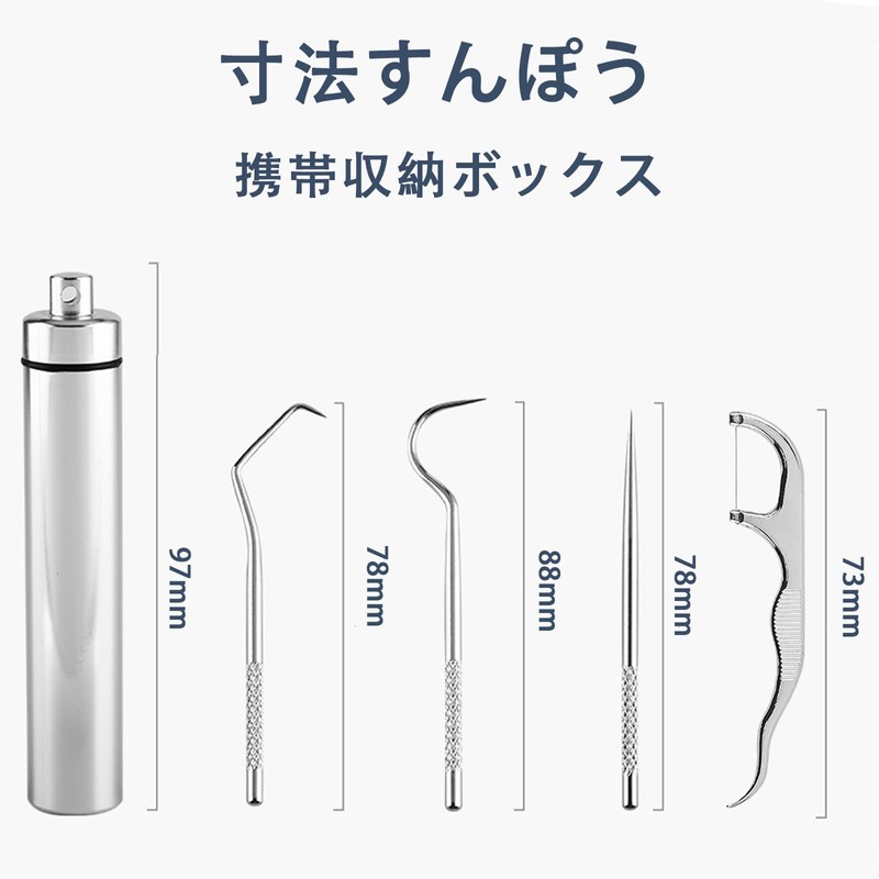 HanaHaul Toothpick Case, Toothpick Holder, Waterproof Toothpick Tube, Portable, Alloy