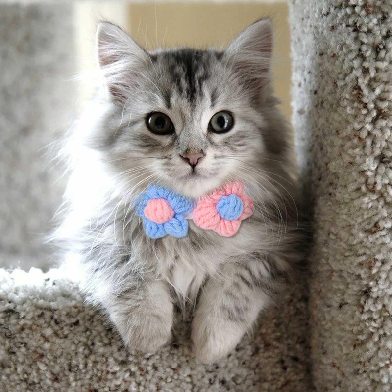 Campsis Floral Cat Collars Adjustable Tie Cat Colllar Knitted Kitten
